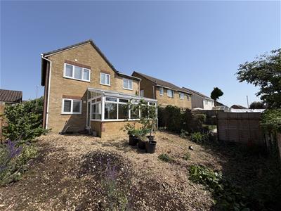 Picture 21